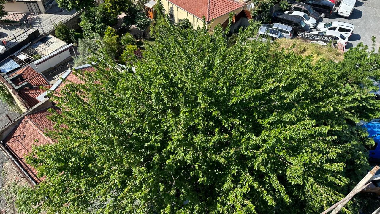 Mar Boutique Apartment Κωνσταντινούπολη Εξωτερικό φωτογραφία